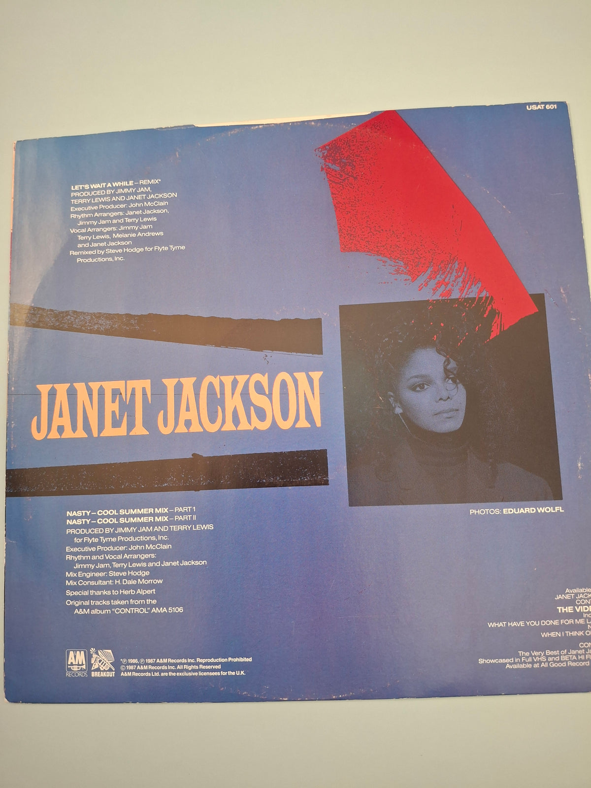 Janet Jackson – Let's Wait Awhile (1987 UK 12" Vinyl Single)