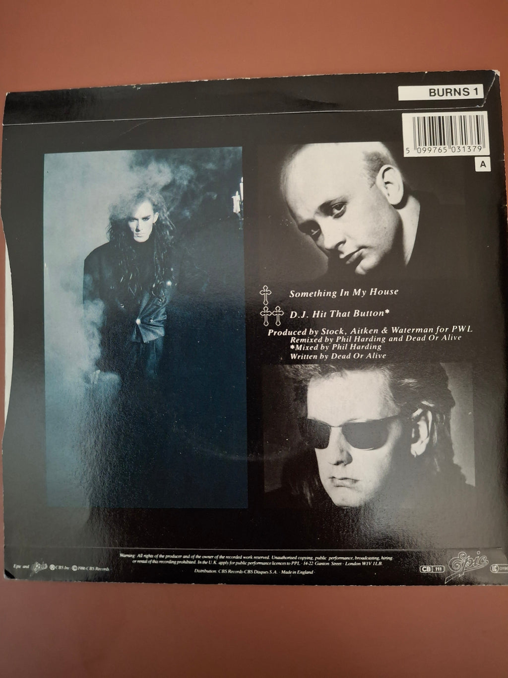 Dead Or Alive - Something In My House 7" Vinyl Single (Original 1986 UK First Pressing, Epic BURNS 1)
