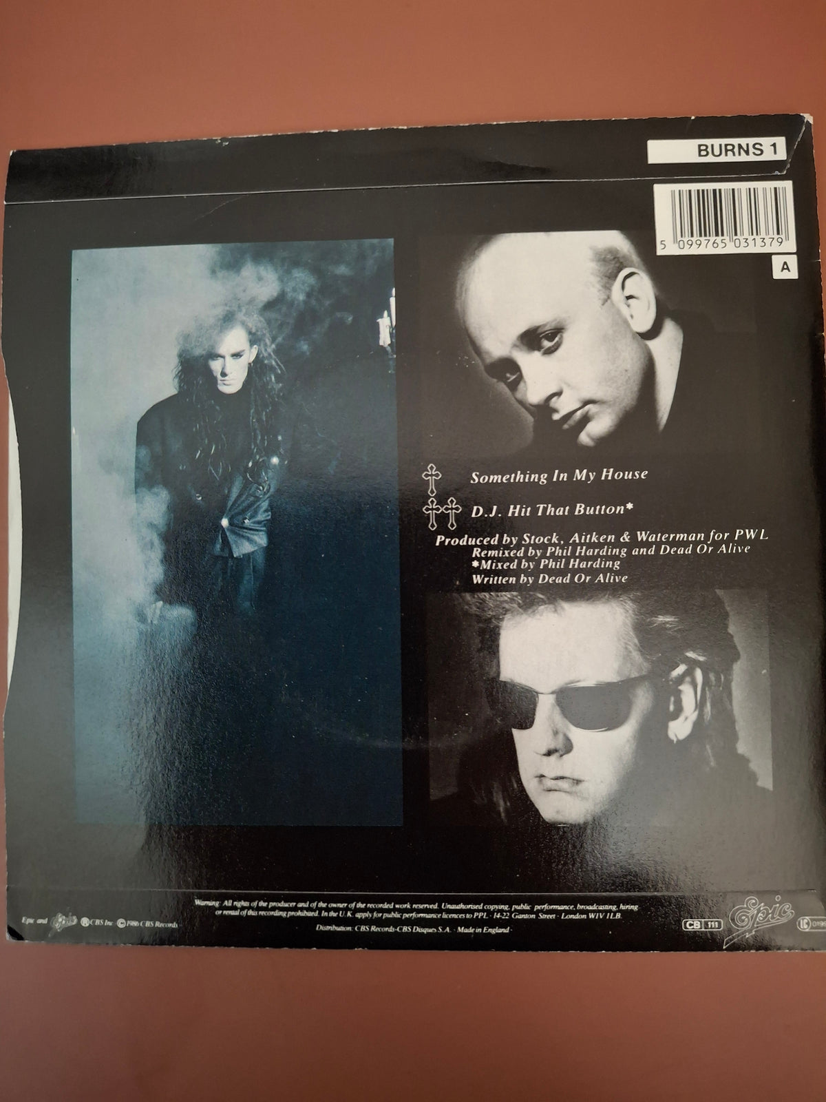 Dead Or Alive - Something In My House 7" Vinyl Single (Original 1986 UK First Pressing, Epic BURNS 1)