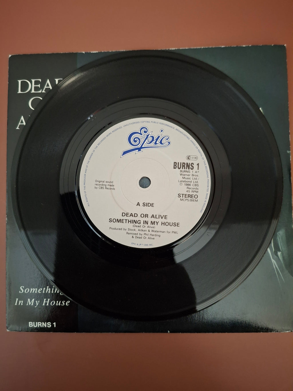 Dead Or Alive - Something In My House 7" Vinyl Single (Original 1986 UK First Pressing, Epic BURNS 1)