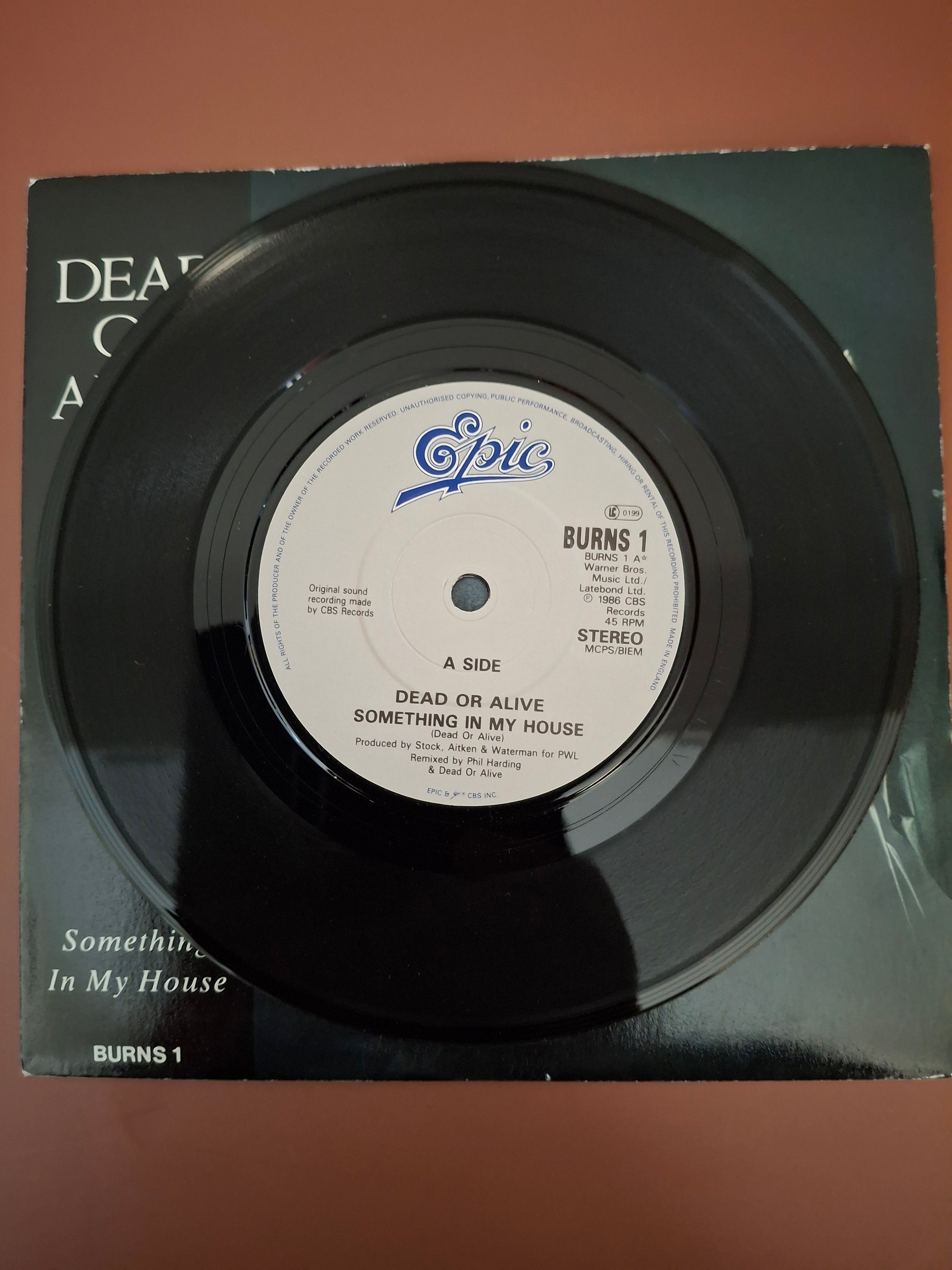Dead Or Alive - Something In My House 7" Vinyl Single (Original 1986 UK First Pressing, Epic BURNS 1)