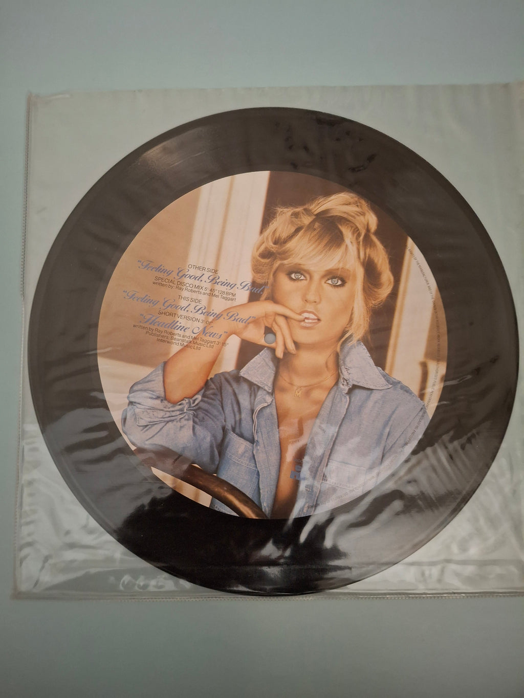Mary Stävin - Feeling Good, Being Bad Rare 12" Vinyl Picture Disc (UK Pressing, 1979, Ariola AROC 179)