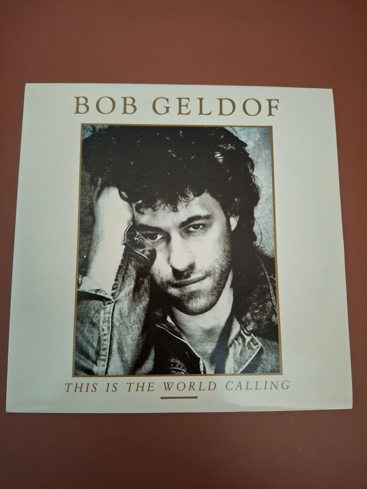 Bob Geldof - This Is The World Calling Original UK 7" Vinyl Single (1986, Mercury BOB 101 Pop Rock, Picture Sleeve)