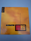 Pierce Turner Have You Looked At The Sun (Lately) Original UK Picture Sleeve 7" Vinyl Single 1989 Beggars Banquet Pressing