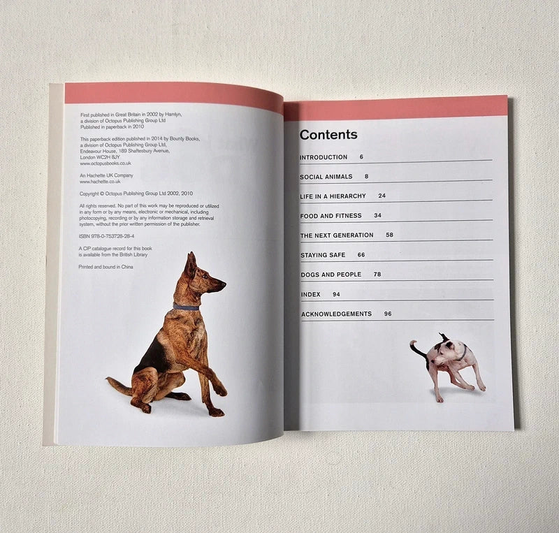 Dog Psychology & Behavior Book Bundle - 3 Selection Set (Gwen Bailey, Helen Exley)