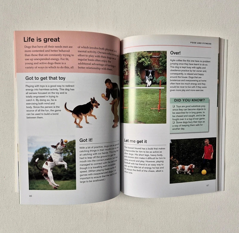 Dog Psychology & Behavior Book Bundle - 3 Selection Set (Gwen Bailey, Helen Exley)