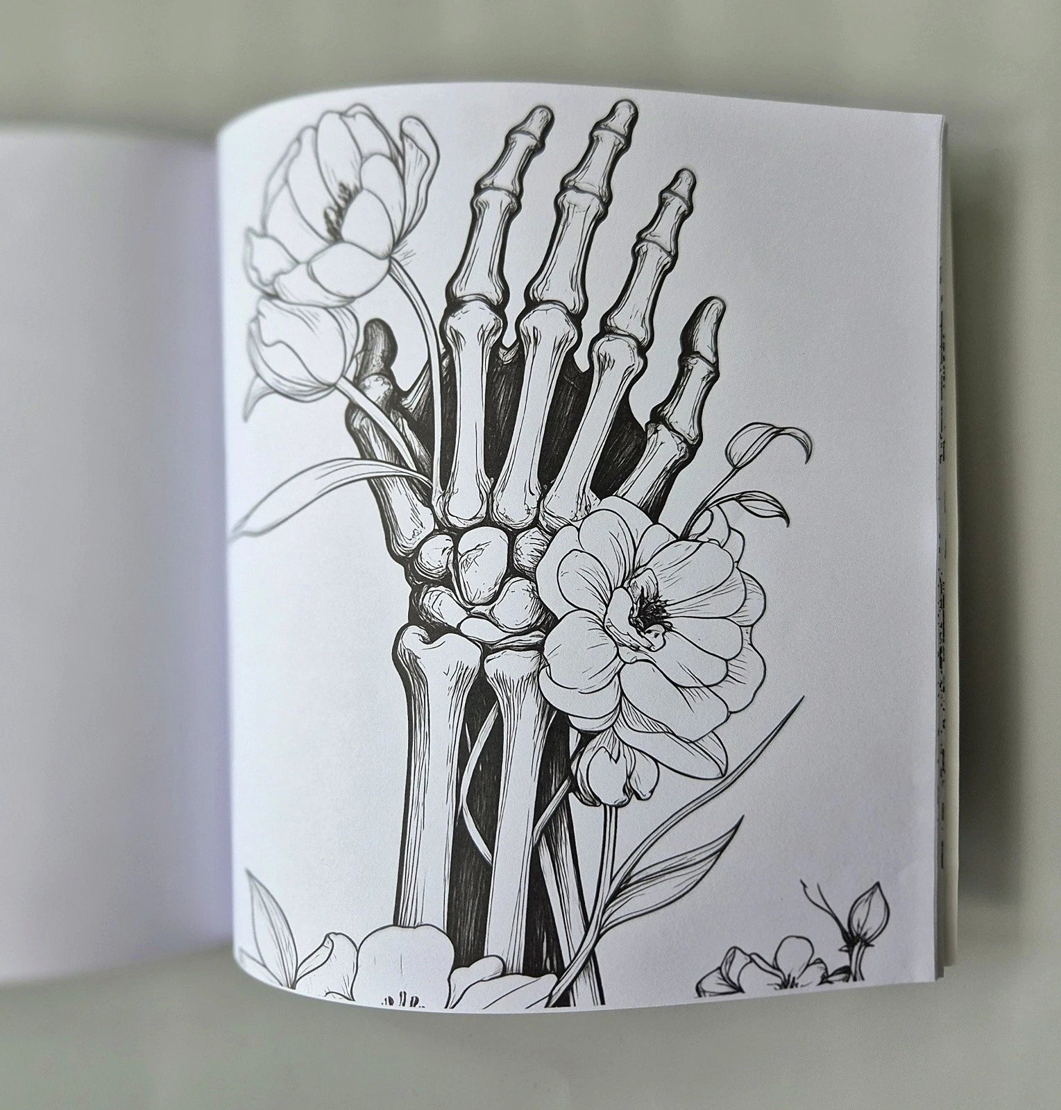 Human Anatomy Adult Coloring Book & Skyglory Pencils Set – (New & Unused)