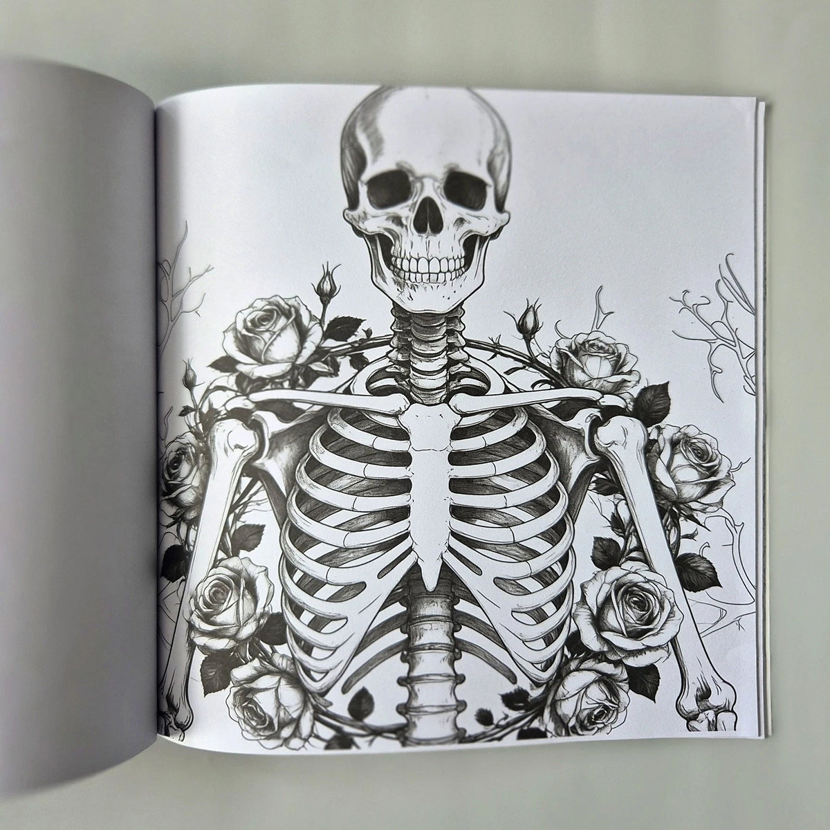 Human Anatomy Adult Coloring Book & Skyglory Pencils Set – (New & Unused)