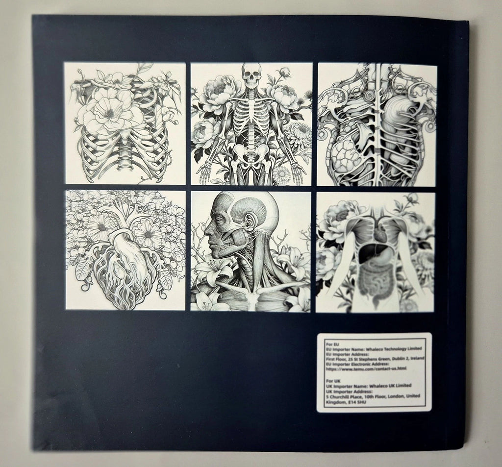 Human Anatomy Adult Coloring Book & Skyglory Pencils Set – (New & Unused)