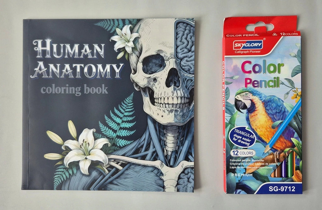 Human Anatomy Adult Coloring Book & Skyglory Pencils Set – (New & Unused)